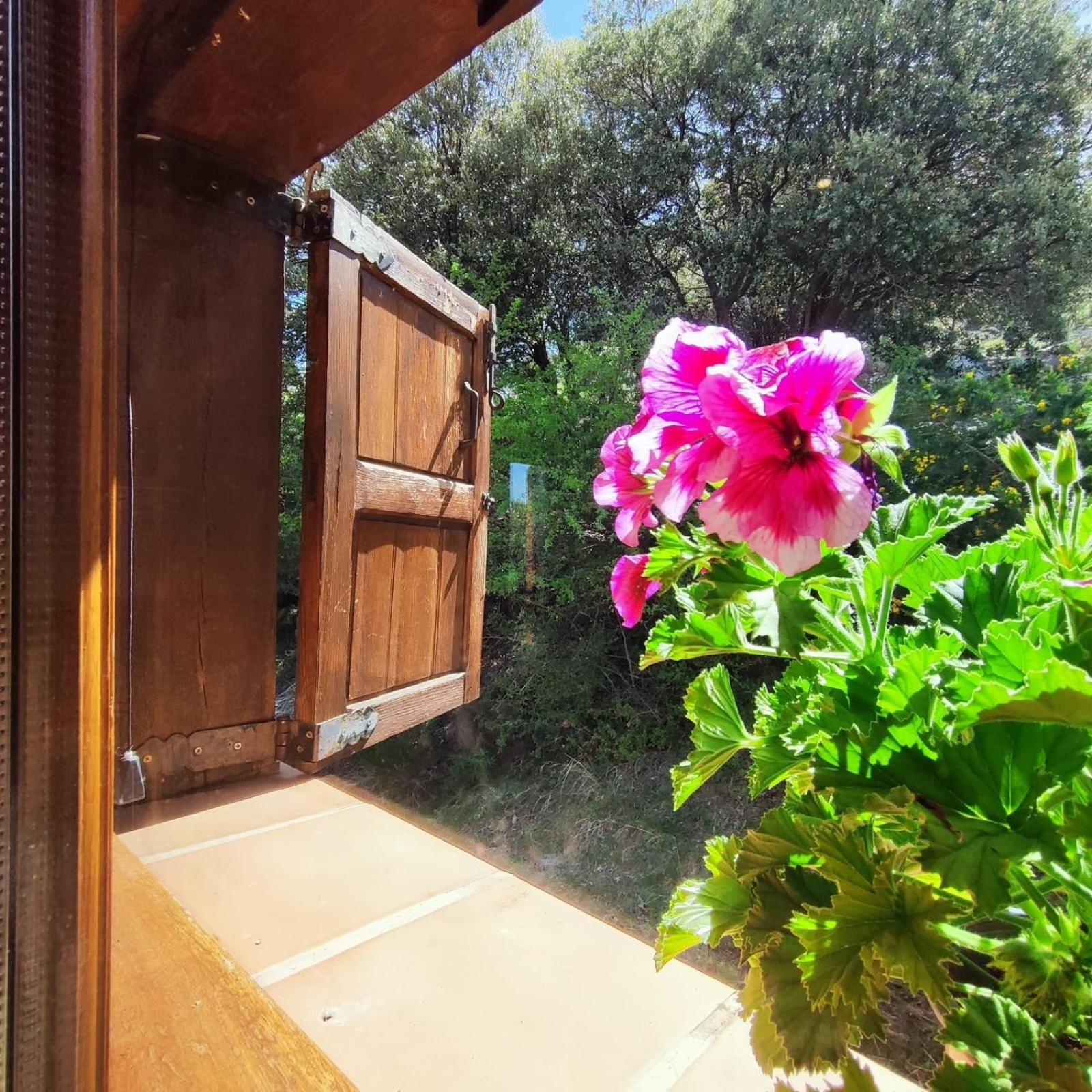 Refugio Del Aguila "Casa Diaman" Guest House Guejar Sierra Exterior foto